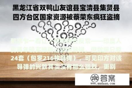 黑龙江省双鸭山友谊县宝清县集贤县四方台区国家资源被蔡荣东疯狂盗摘