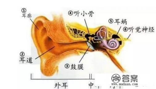 耳朵里出血了，是怎么回事，用什么止血