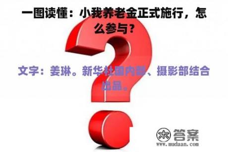 一图读懂：小我养老金正式施行，怎么参与？