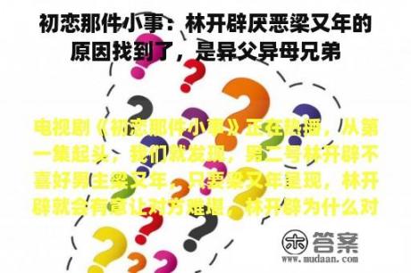 初恋那件小事：林开辟厌恶梁又年的原因找到了，是异父异母兄弟