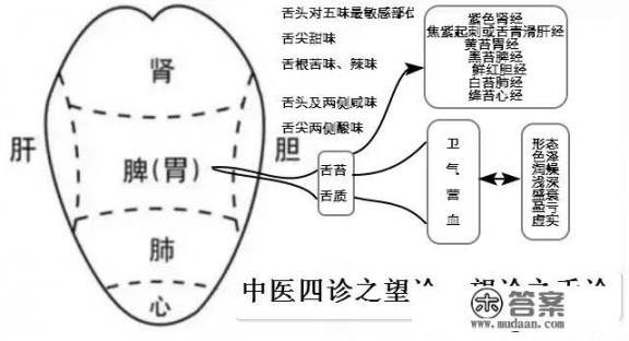 中医大健康这个行业怎么样