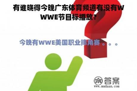 有谁晓得今晚广东体育频道有没有WWWE节目标播放？