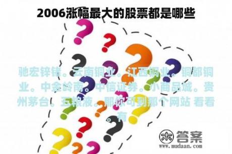 2006涨幅最大的股票都是哪些