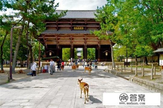 关西10日游,有哪些和的旅游攻略推荐 关西10日游,有哪些和的旅游攻略推荐