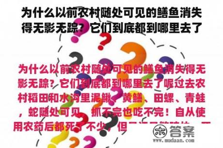 为什么以前农村随处可见的鳝鱼消失得无影无踪？它们到底都到哪里去了呢