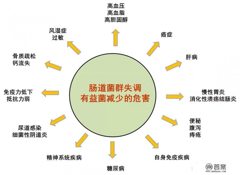 如何看待肠道菌群？对人体健康有什么影响