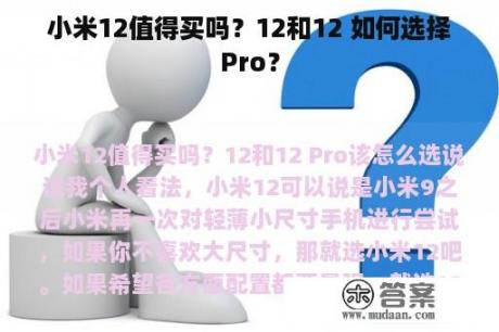 小米12值得买吗？12和12 如何选择Pro？