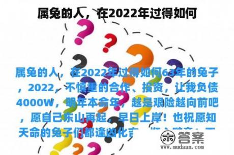 属兔的人，在2022年过得如何