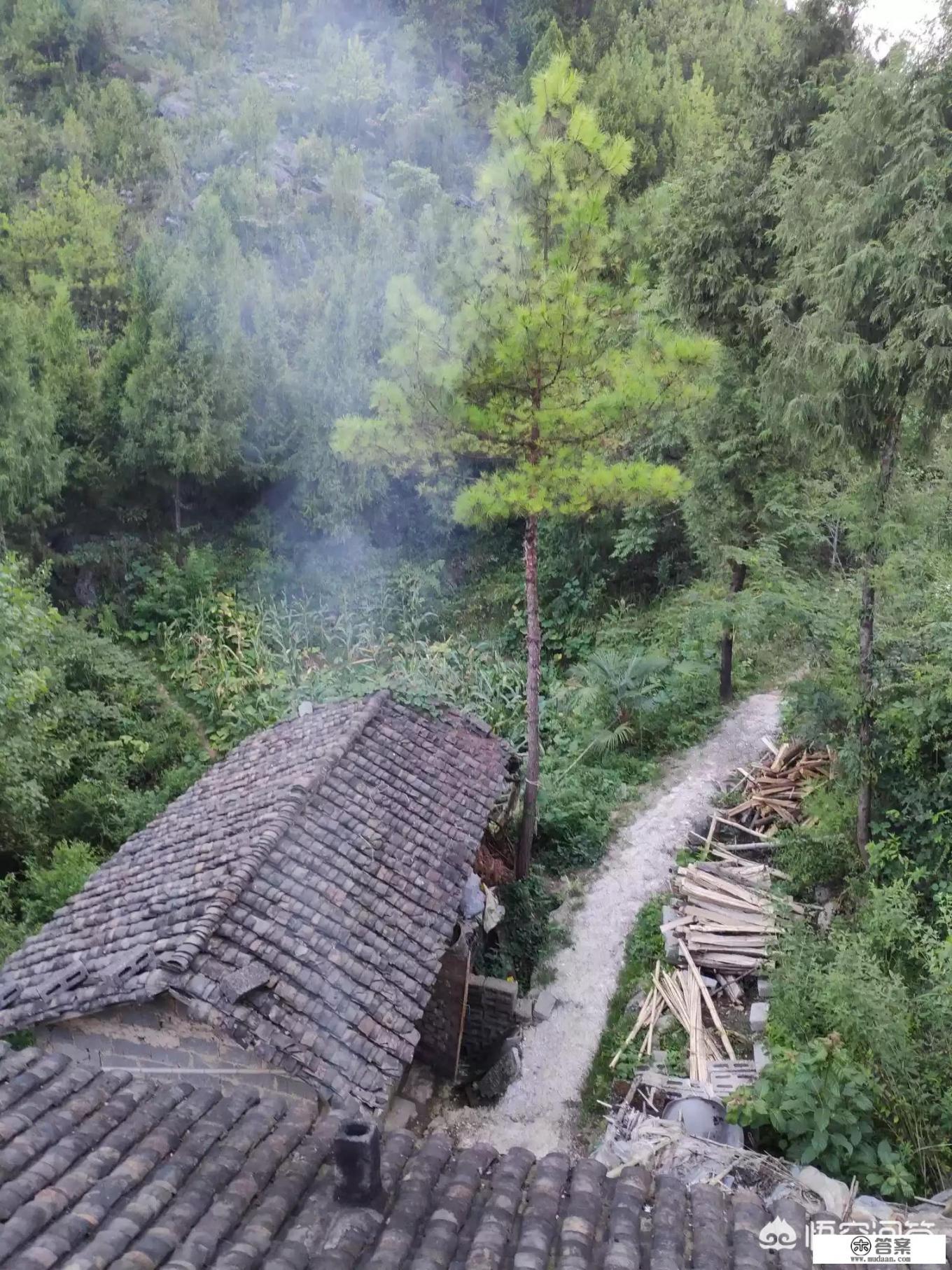 旅行中或旅行结束后，你会发文发图吗