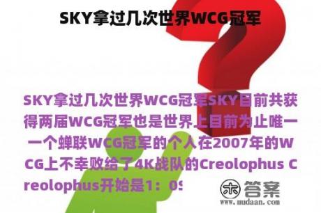 SKY拿过几次世界WCG冠军