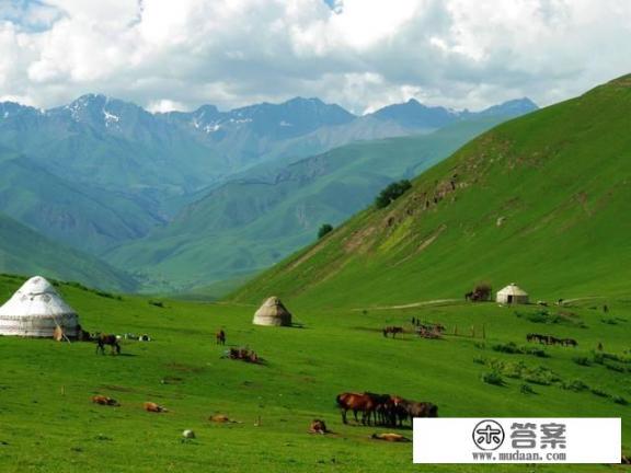 一家人想出去旅游，想包车，靠谱吗