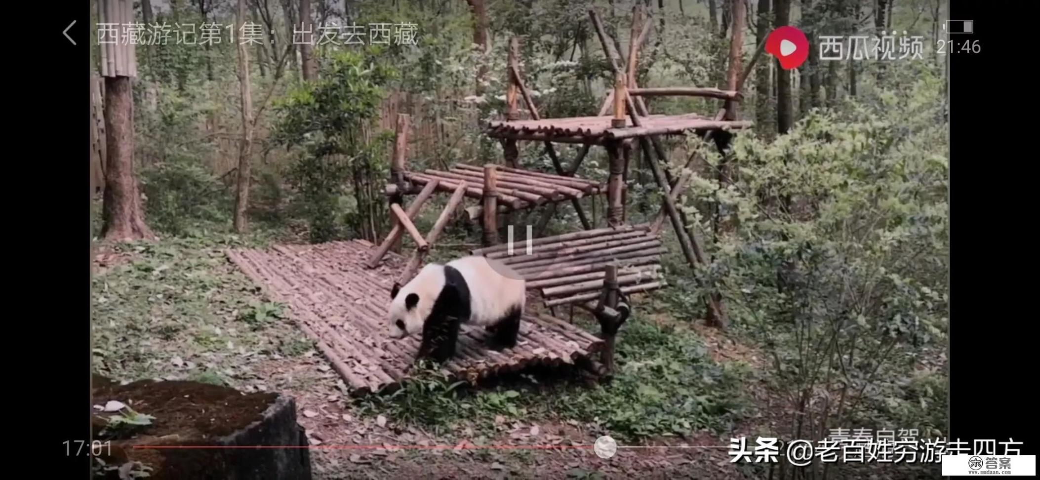 毫无出远门经验的人独自去旅行有什么建议和注意事项吗