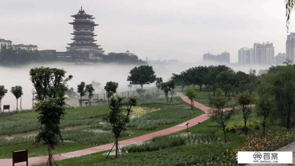 非常焦虑！境外疫情扩散越来越严重，今年旅游业的出路在哪里