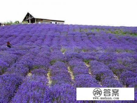 这个季节那个地方适合旅游