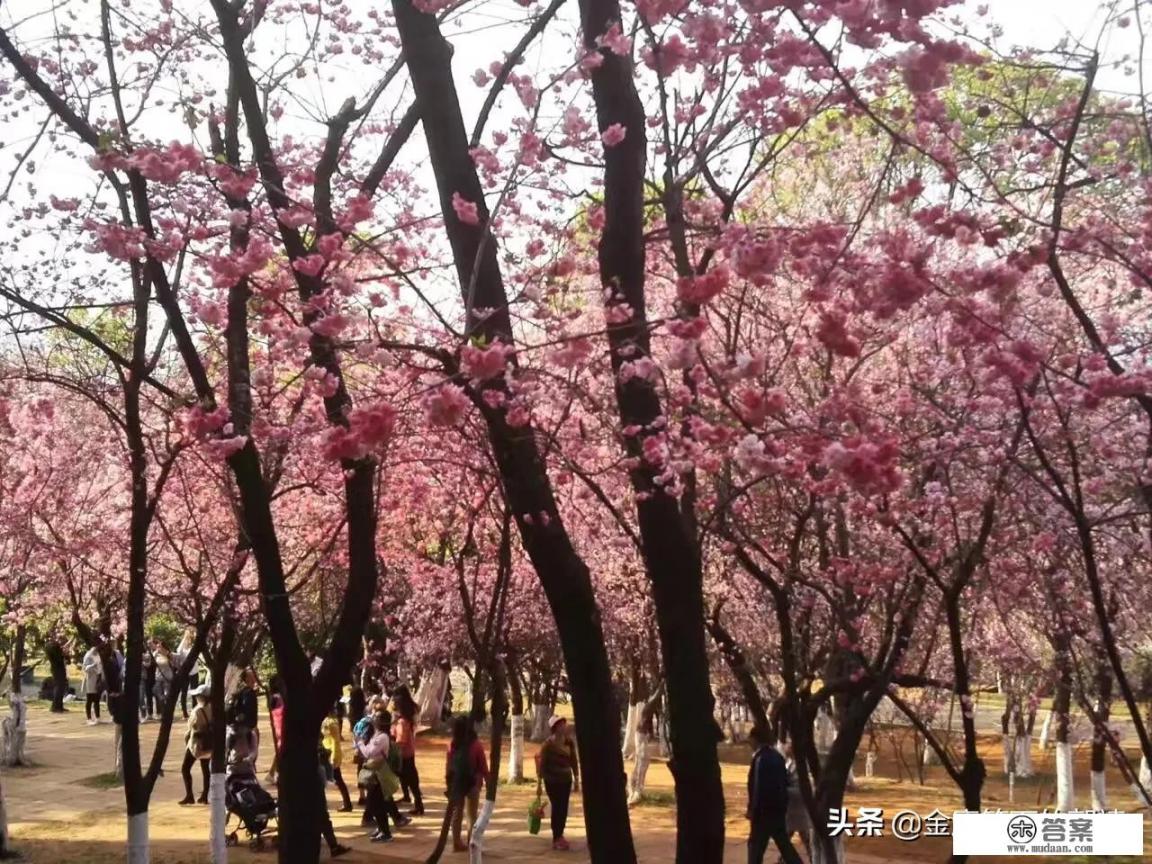 现在旅游业用什么办法在线上引流吸引更多客源