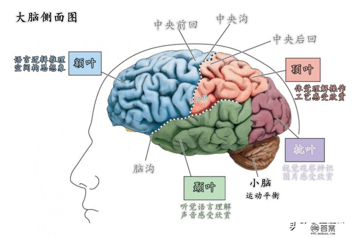 脑卒中家庭护理指南