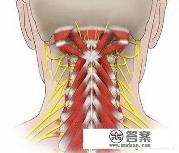 右手小拇指发麻是什么病的前兆