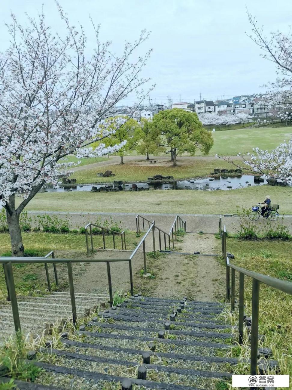 一句日语都不会说去日本旅游会不会很难受