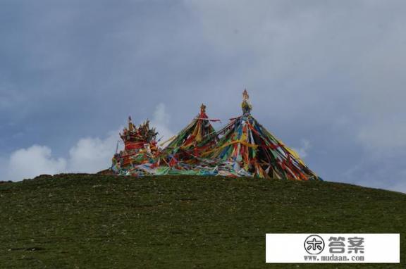 青海和青岛哪个地方更好玩一些呢，可以给一些建议吗