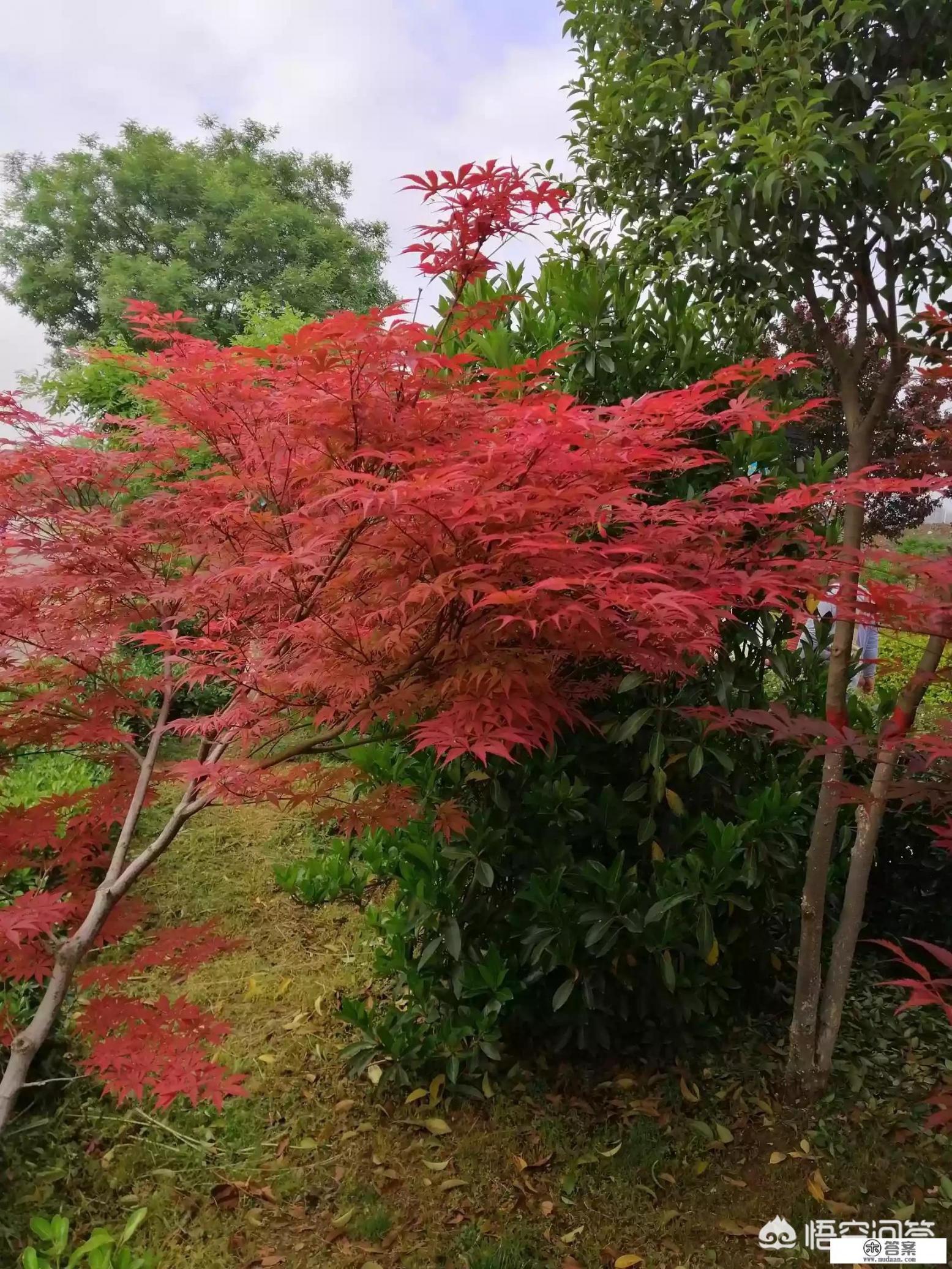 如何用一句成语形容旅游很轻松