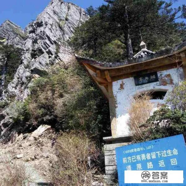 国内旅游保险多不多？求推荐性价比高的