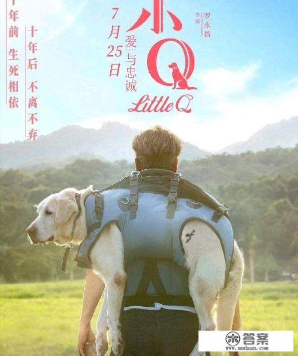 导盲犬对盲人来说意味着什么