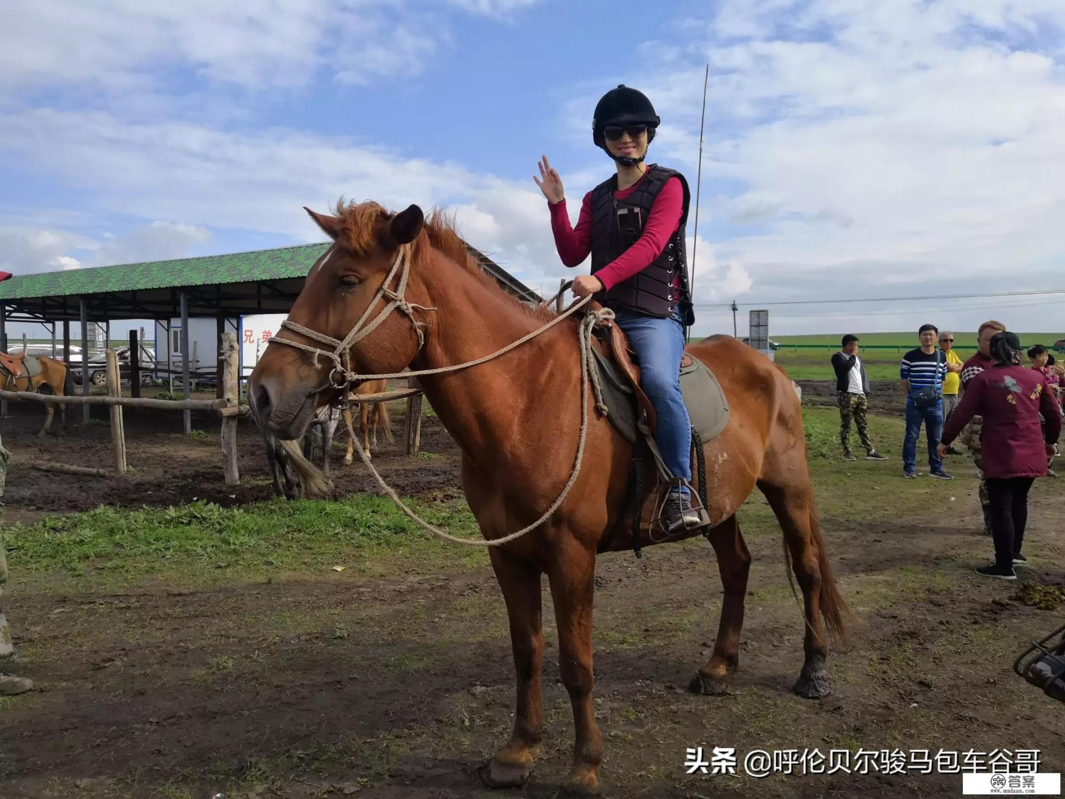 求助：去草原骑马要多少钱啊