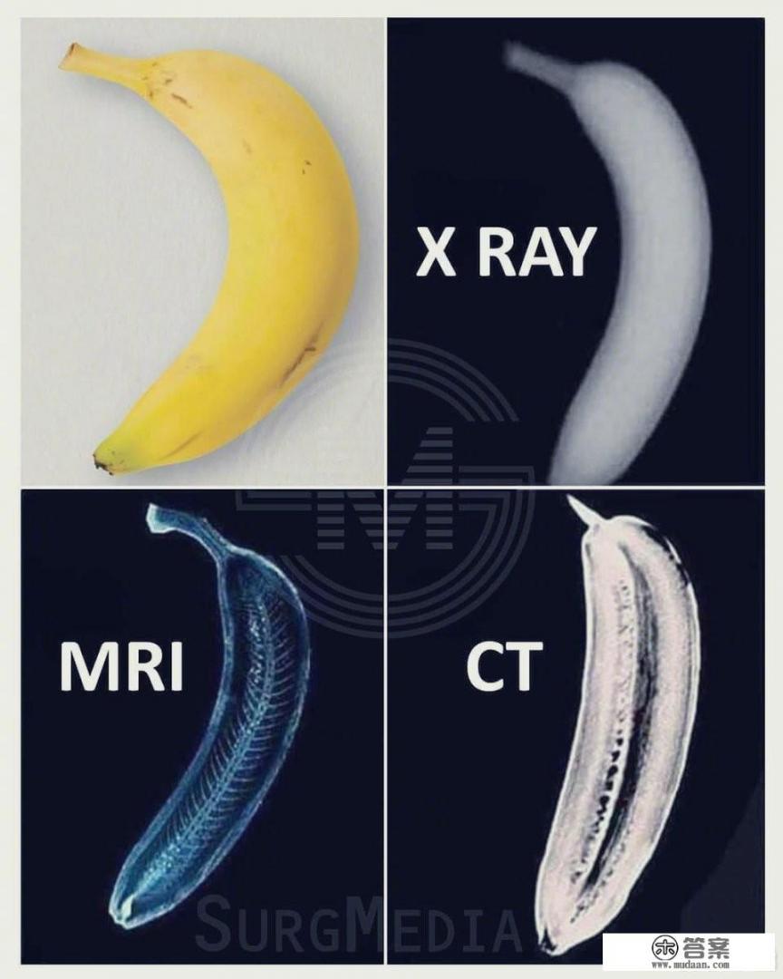 百思不解，既然钻孔都这么难，那科学家是怎么知道地球的分层和内核是由什么物质组成