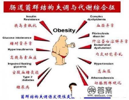 我们体内的肠道微生物会影响人体健康吗