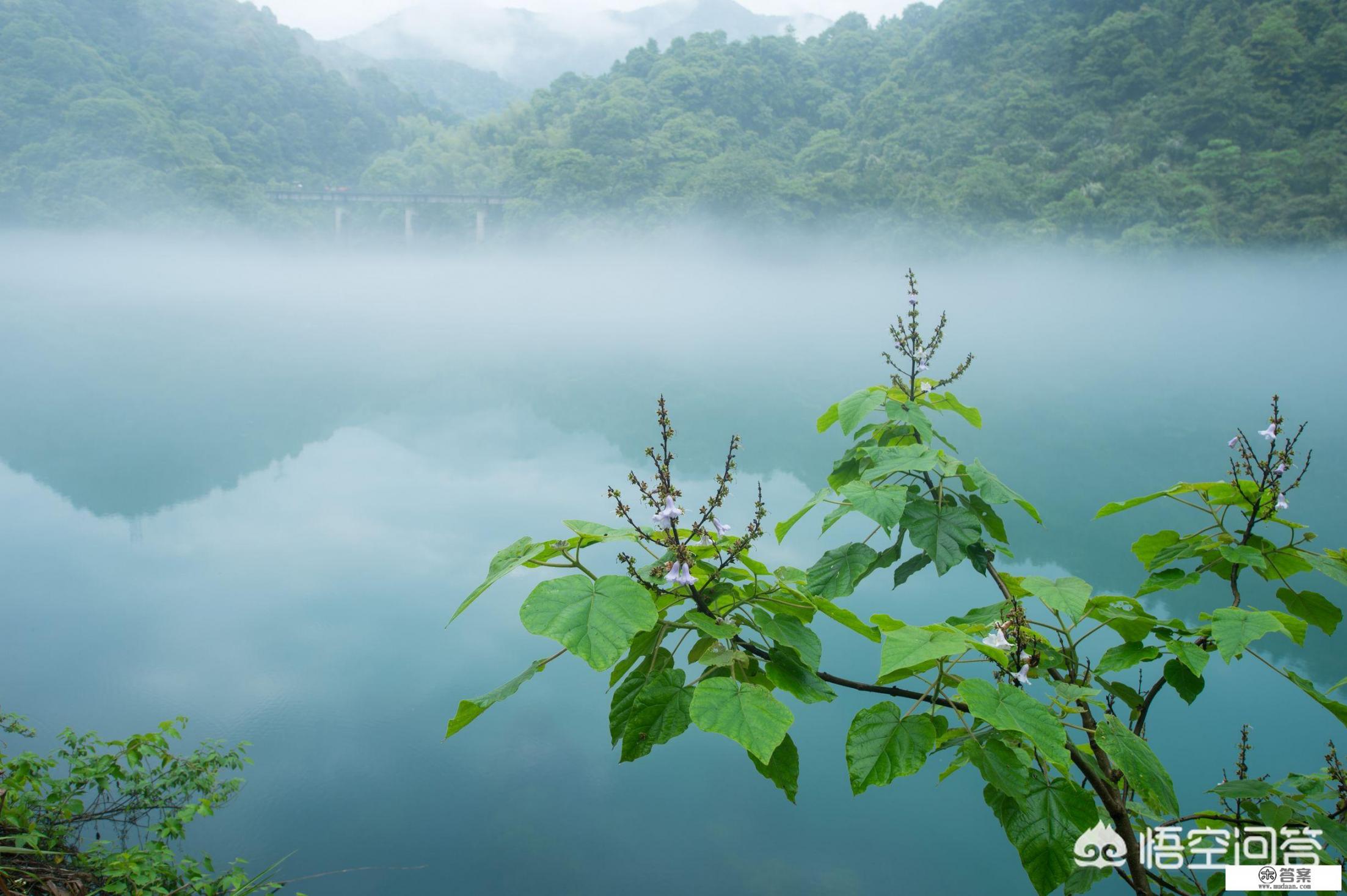 东江湖有什么推荐的旅游攻略（自驾游）