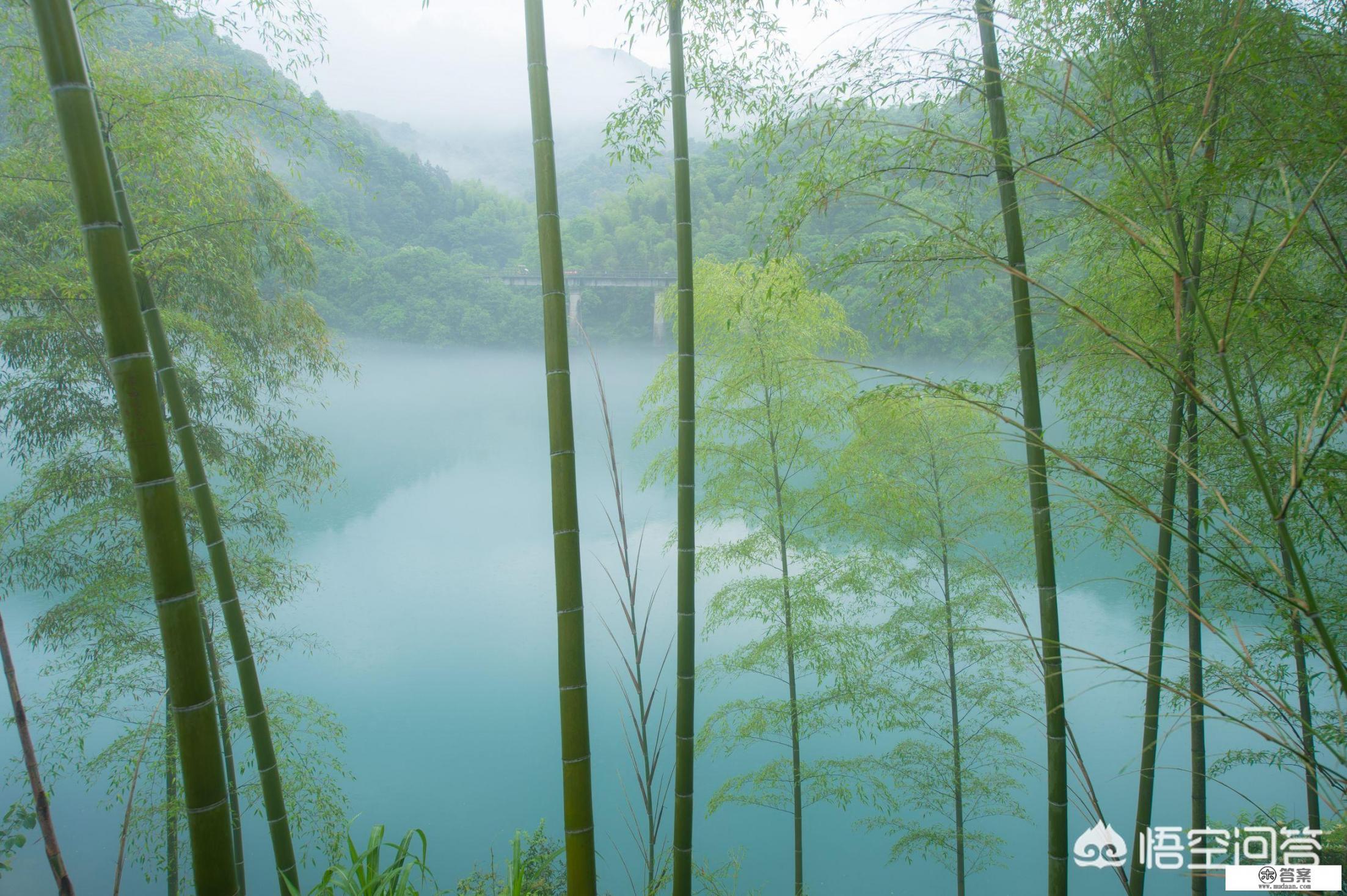 东江湖有什么推荐的旅游攻略（自驾游）