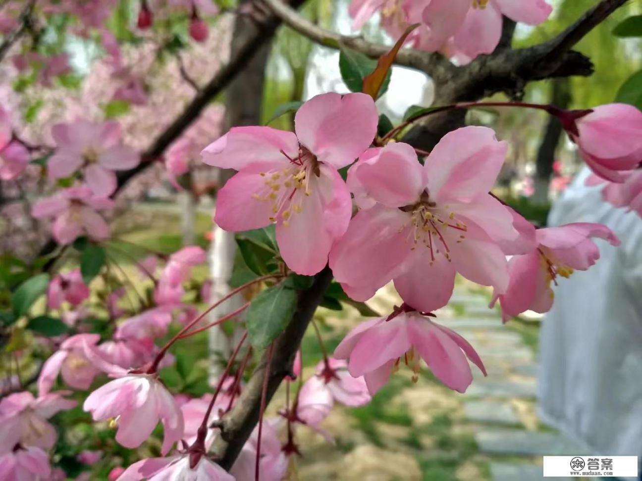 西安这么多免门票的景点，你都去过哪个