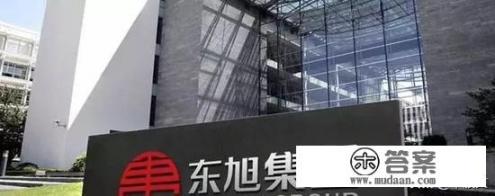 东旭集团百亿老板沉迷游戏，赢得了国服蔡文姬却输掉百亿家产导致公司破产，你怎么看