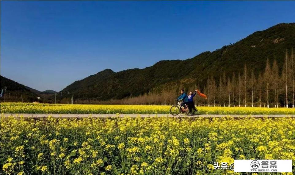 到乡村旅游的好处是什么_未来农村的土地前景如何？那些比较偏僻的农村山区会有发展空间吗