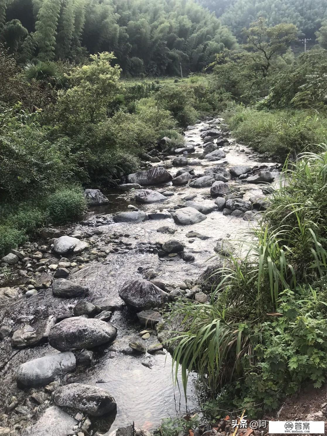 无锡出发，自驾皖南三天，怎么玩_现在去安徽旅游合适吗