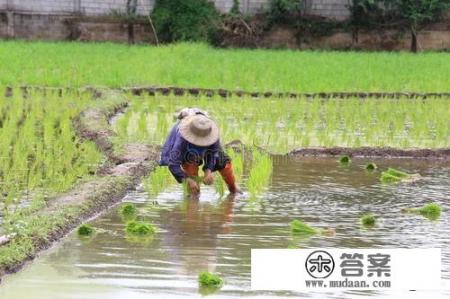 历史上有哪些颠覆三观的冷知识_你生活中遇到过哪些忘不了的经历