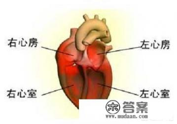 家里有心脏病人，春节菜谱需要注意啥_心脏病、冠心病的食疗方法有哪些