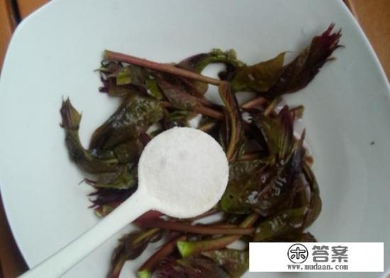 炸香椿芽怎么做_炸香椿芽怎么做