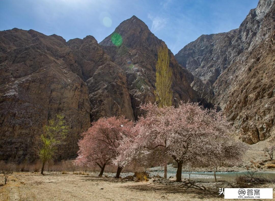 牧童遥指杏花村，全国有十来处“杏花村”，那牧童指的是哪一处_杏花村旅游区