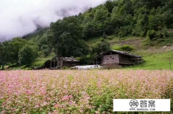 中国排名前50位的旅游景点，你去过几个_你认为中国十大旅游胜地该怎样排