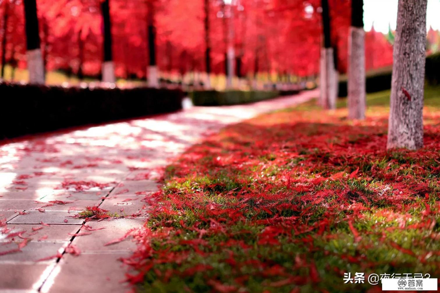 今年春节去云南旅游安全吗_春节去云南过节的人多吗