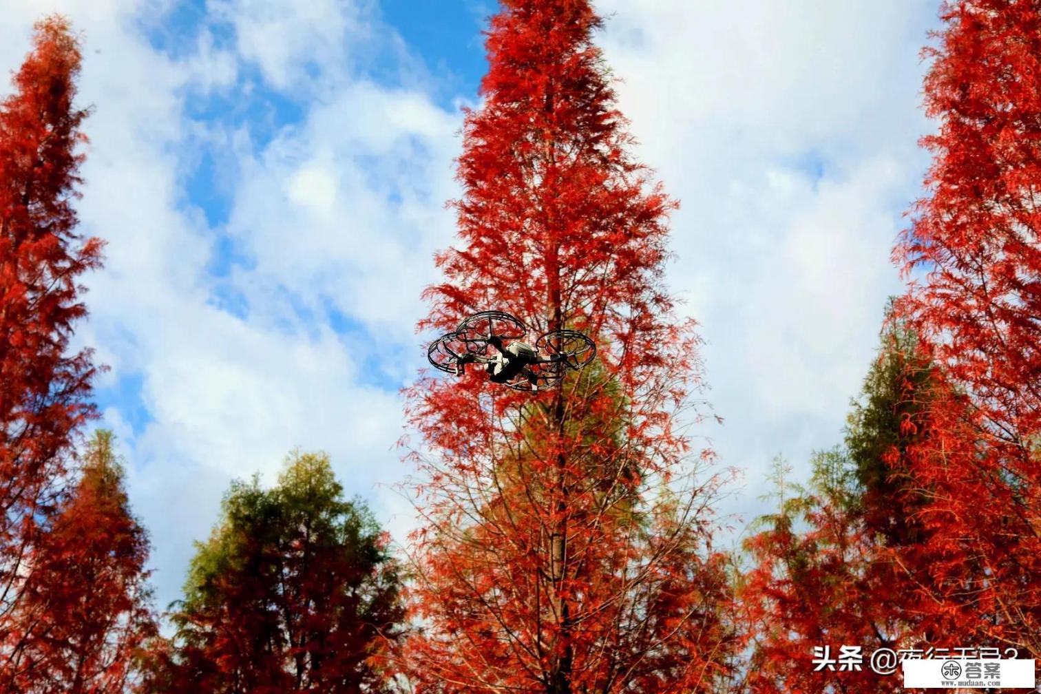 今年春节去云南旅游安全吗_春节去云南过节的人多吗