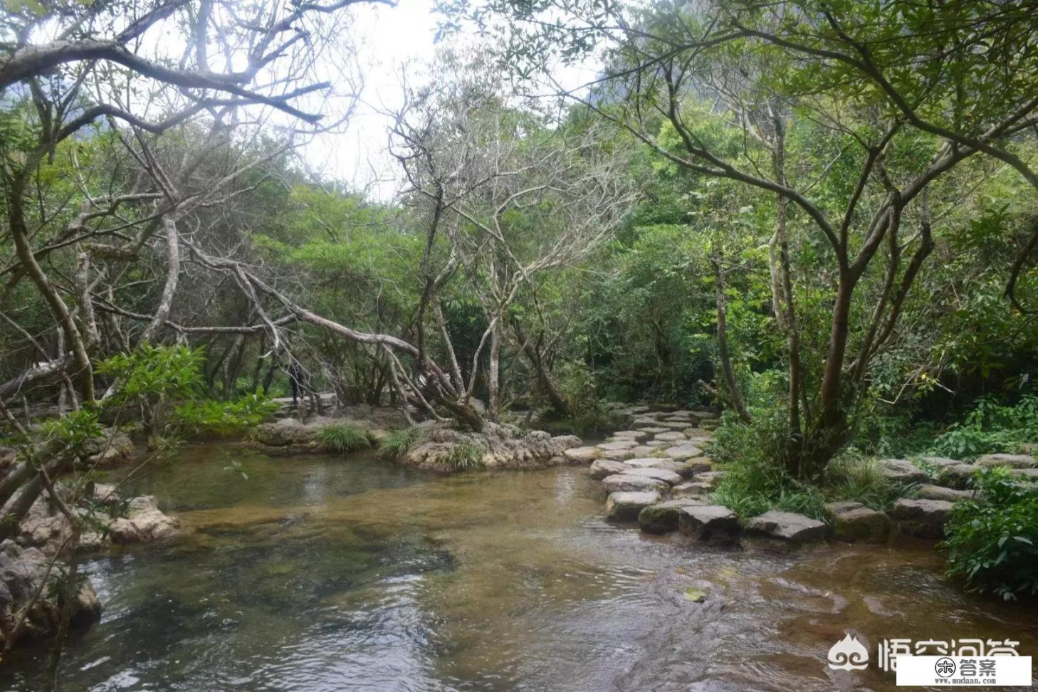 贵州十大旅游景点5a_去贵州旅游最值得推荐的10个地方有哪些