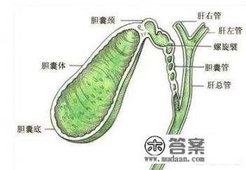 胆和子宫切除完对身体有害吗_没有了子宫人会老得快吗