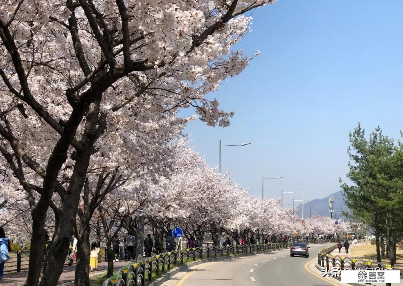 你们怎么看待中国当前的旅游行业现状_你觉得目前我国的旅游行业发展如何