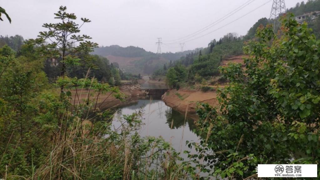 有没有国内可以旅游钓鱼，价格美丽的地方推荐_绵竹太平水库游玩攻略