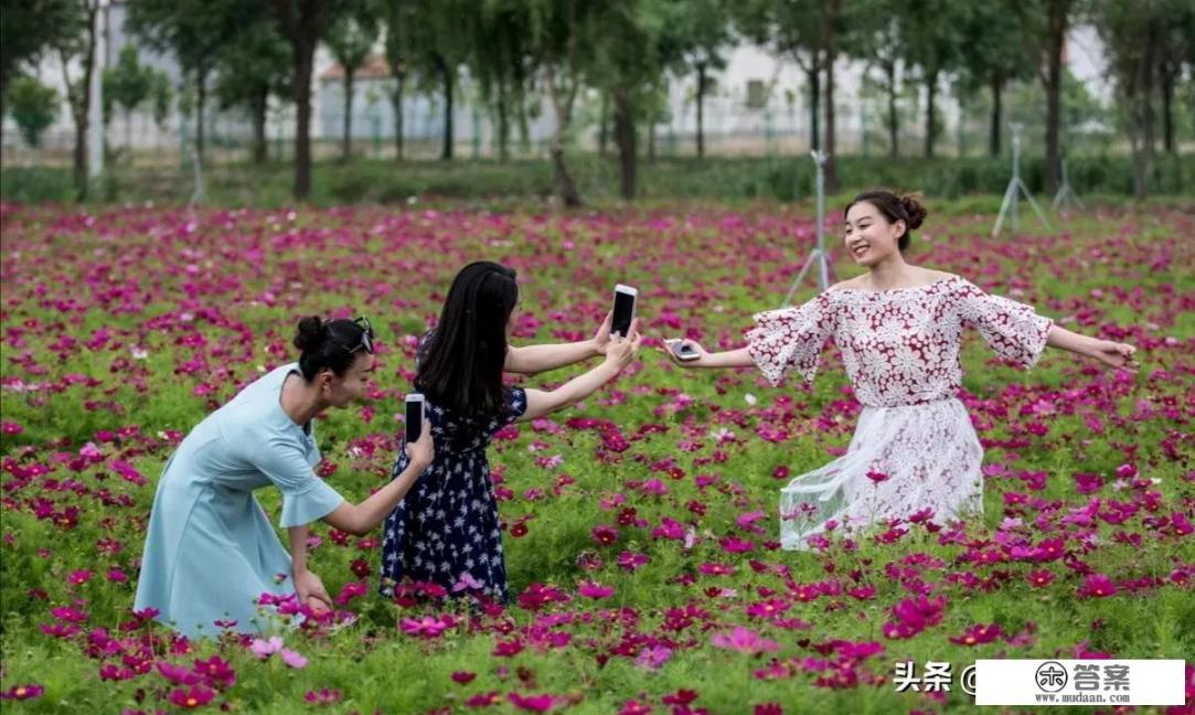 经常在朋友圈发旅游照片的人是什么心态_旅行照片越来越多该怎么保存