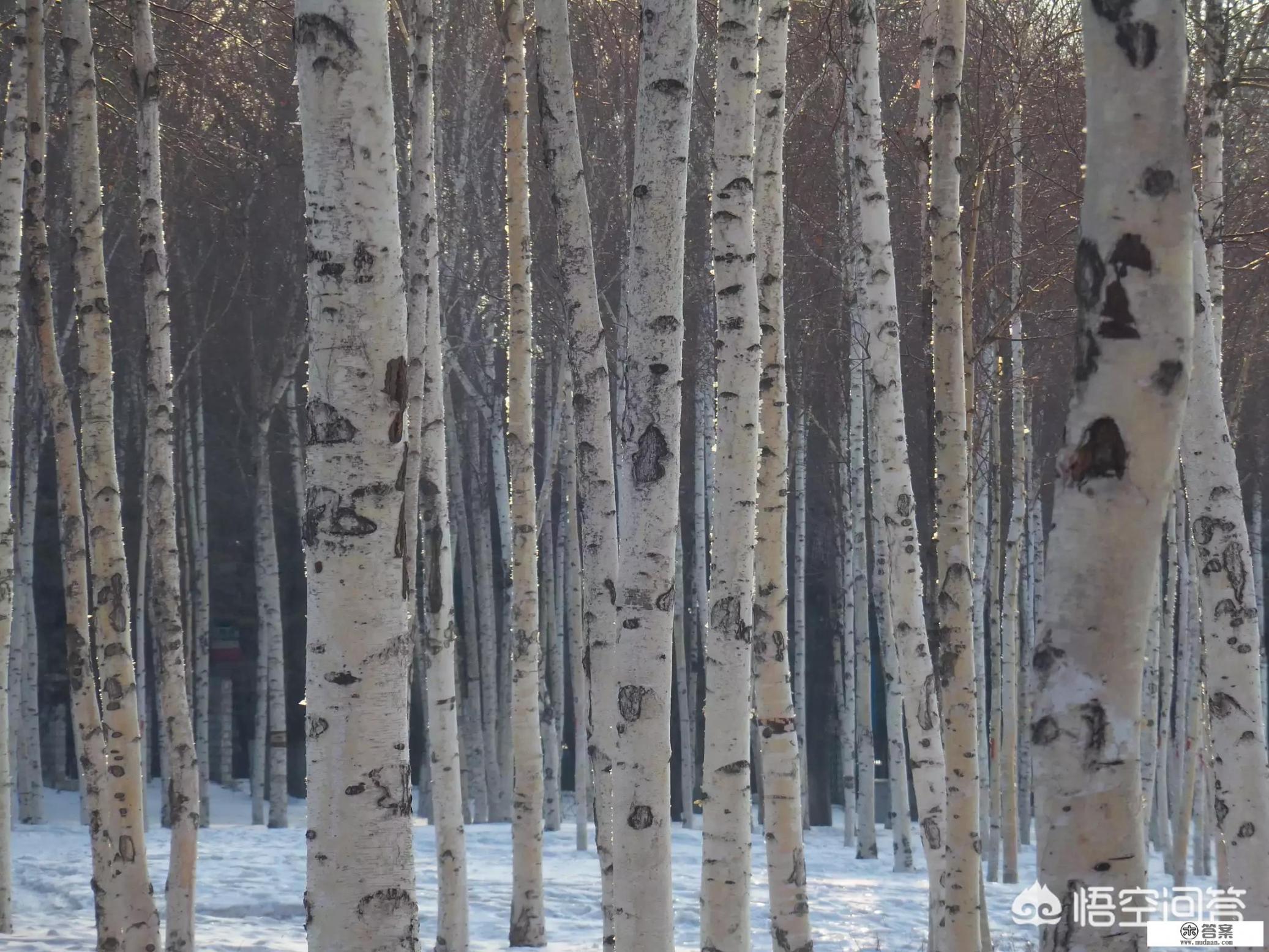 女人痴情起来可怕到什么程度_在今日头条写小说有稿费吗？酬劳怎么样