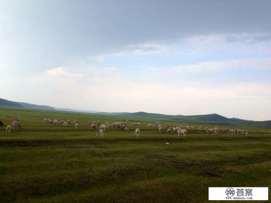 你认为最好玩的地方在哪里_旅游哪里好玩