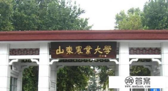 泰安有什么大学_山东泰安有什么大学